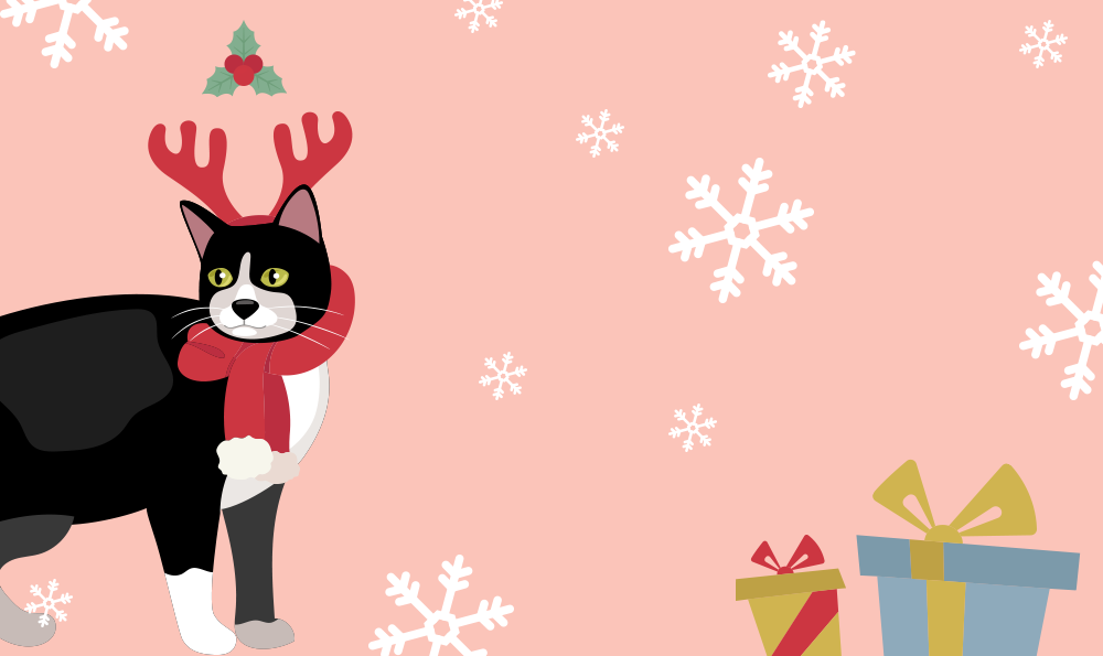 Cadeau de Noel pour chien chat : 6 idées pour leur faire plaisir