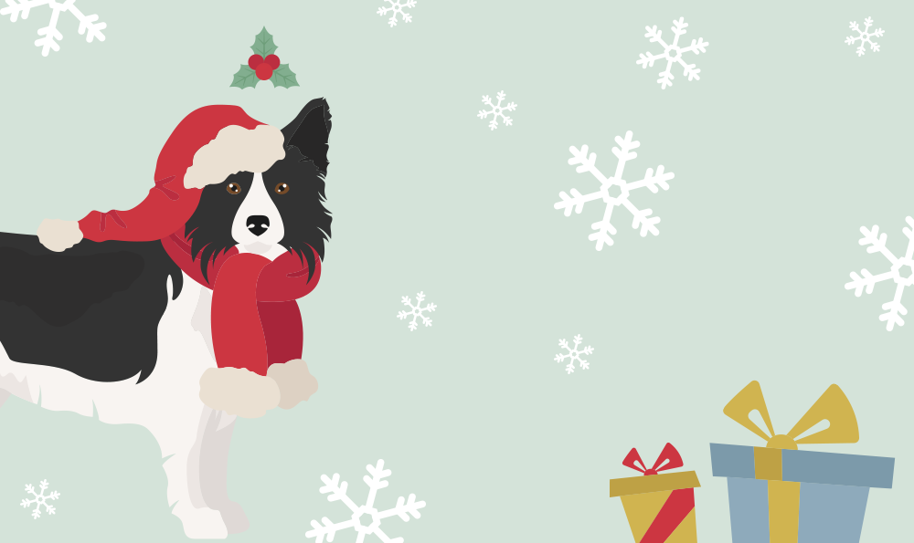 Idées cadeaux de Noël pour chien