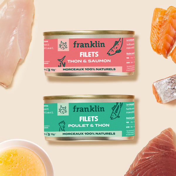 duo-decouverte-filets