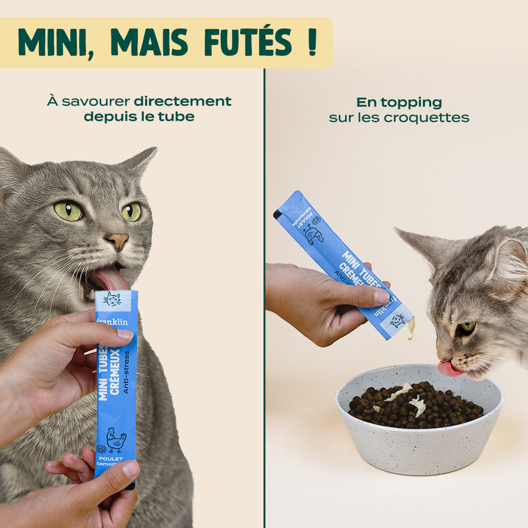 LOT CHAT MINI TUBES CRÉMEUX