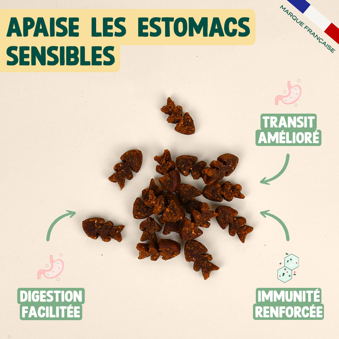 MINI SNACK DIGESTION