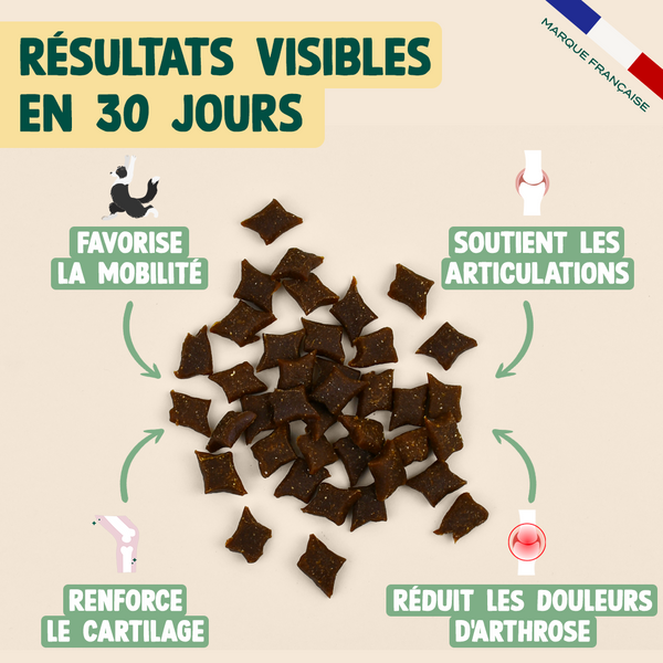 gummies-articulations