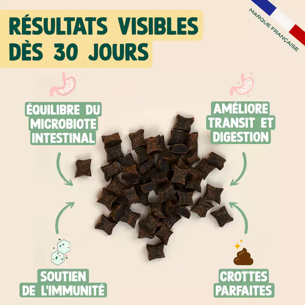 gummies-probiotiques