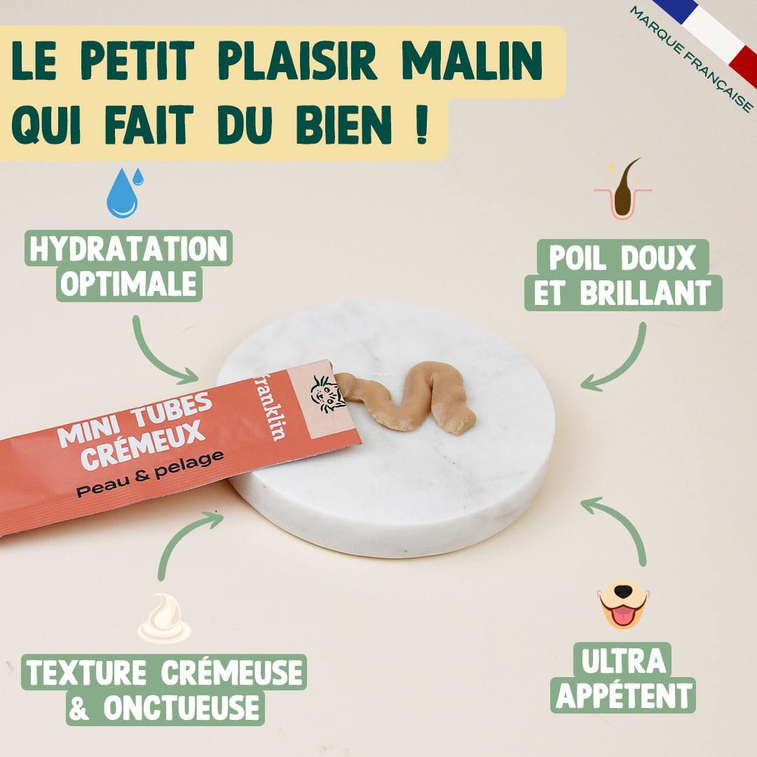 LOT CHAT MINI TUBES CRÉMEUX