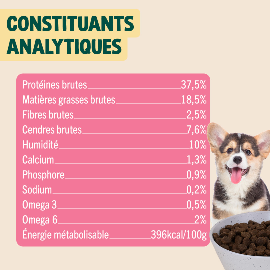 POULET, SAUMON, FENOUIL