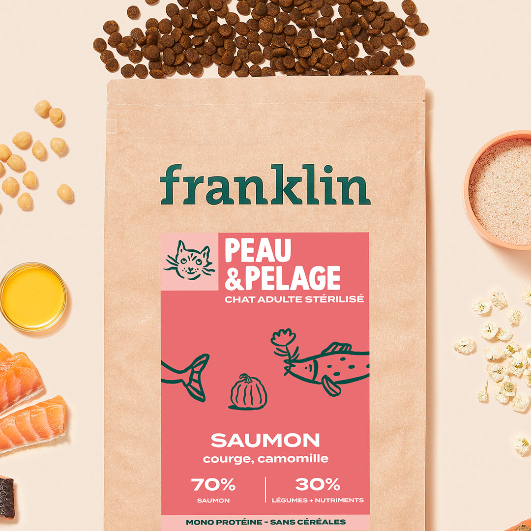 CROQUETTES CHAT BIEN-ÊTRE