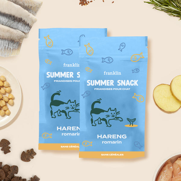 duo-de-summer-snacks