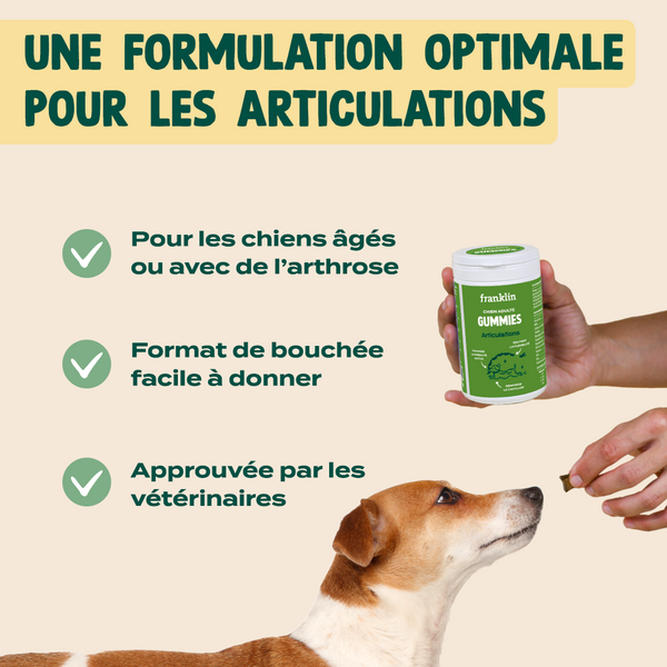 gummies-articulations