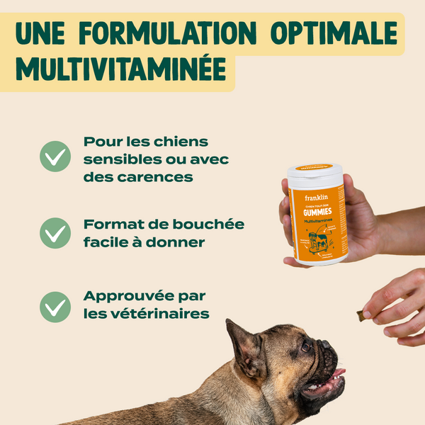 gummies-multivitamines