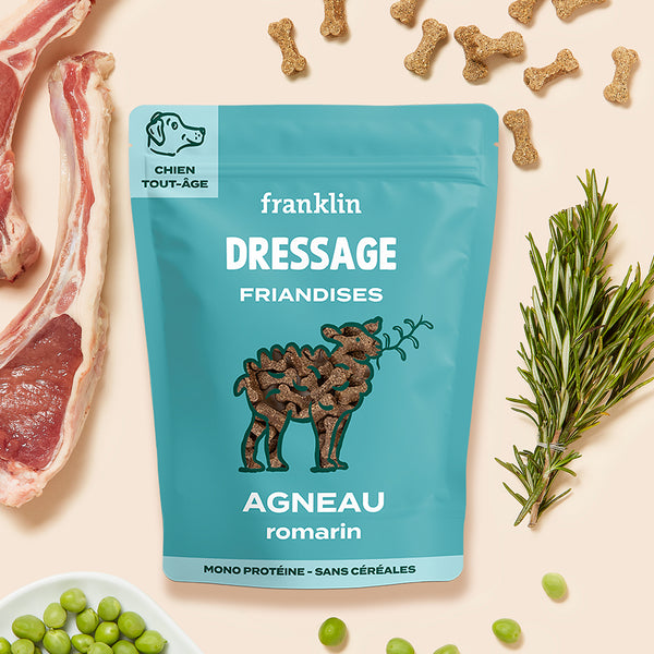 friandise-pour-chien-dressage
