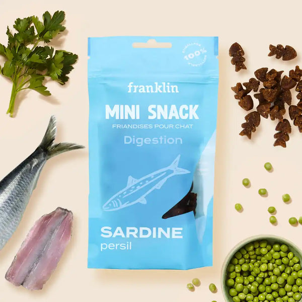 friandise-pour-chat-mini-snack-digestion