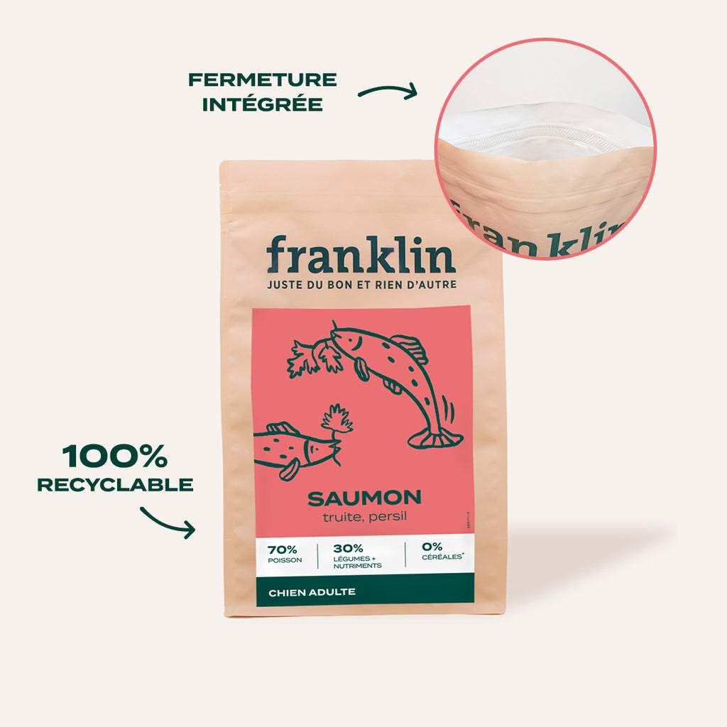 8 Choses à savoir sur l'huile de chanvre pour chien et chat – Franklin