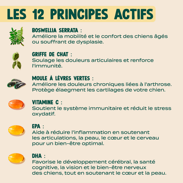 gummies-articulations