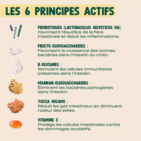 gummies-probiotiques