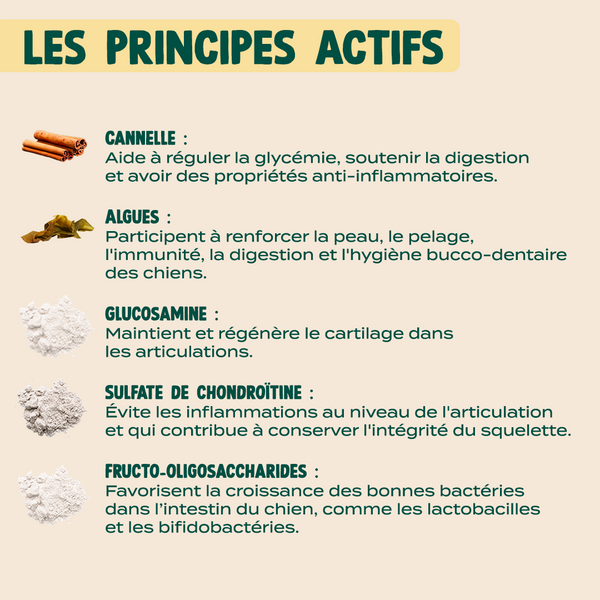 gummies-multivitamines