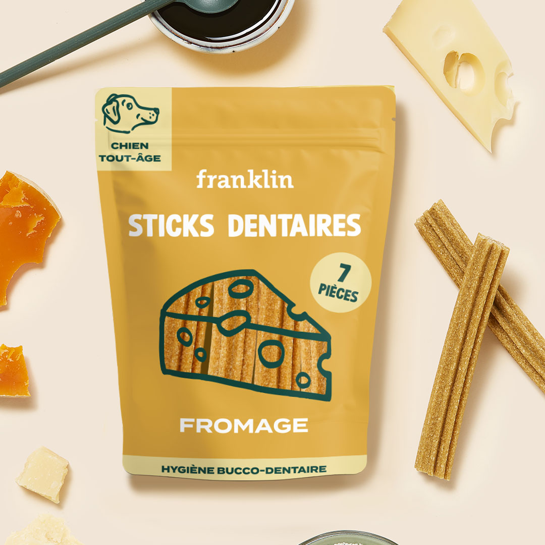 STICKS AU FROMAGE