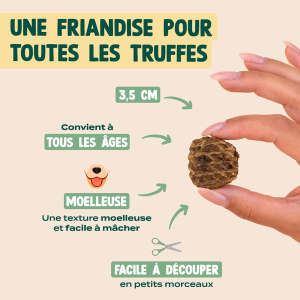 trio-decouverte-viande-sechee