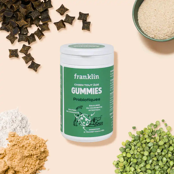 gummies-probiotiques