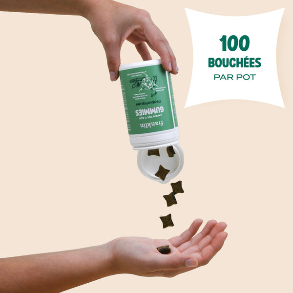 gummies-probiotiques
