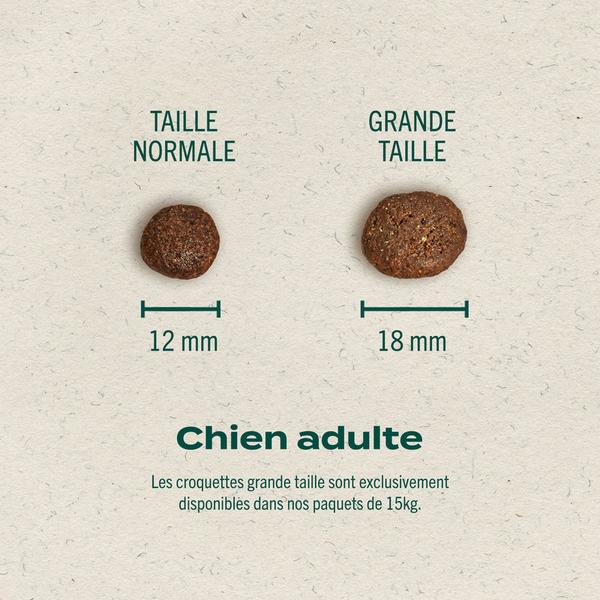 franklin-alimentation-premium-pour-chien-et-chat-choisissez-la-meilleure-nourriture-pour-votre-animal-croquettes-sans-cereales-riches-en-proteines-et-faibles-en-glucides-decouvrez-notre-large-gamme-de-patees-et-de-friandises-riches-en-viande