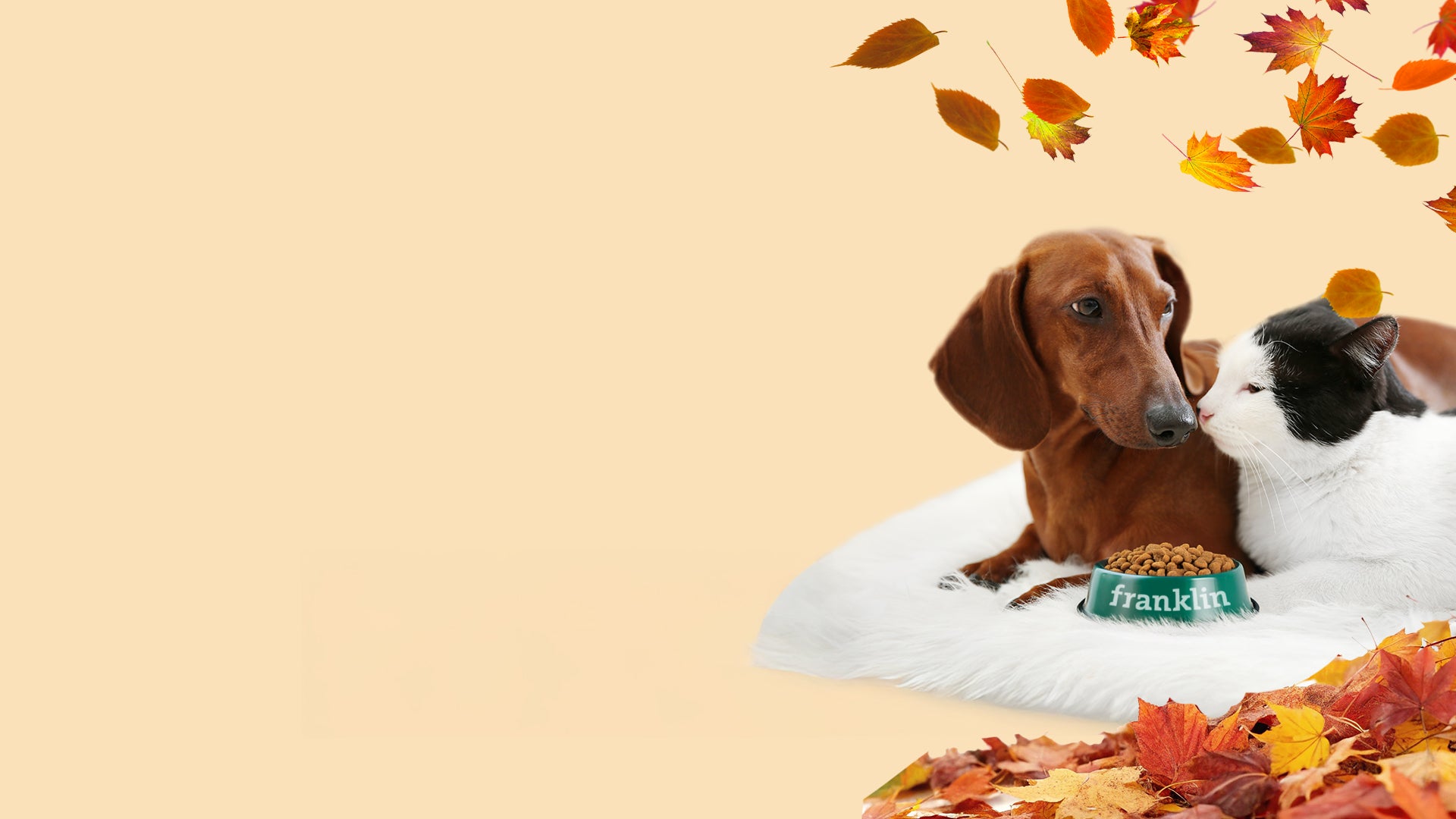 Franklin Alimentation premium pour chien et chat. Choisissez la meilleure nourriture pour votre animal : Croquettes sans céréales riches en protéines et faibles en glucides. Découvrez notre large gamme de pâtées et de friandises riches en viande !