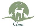 Franklin Alimentation premium pour chien et chat. Choisissez la meilleure nourriture pour votre animal : Croquettes sans céréales riches en protéines et faibles en glucides. Découvrez notre large gamme de pâtées et de friandises riches en viande !