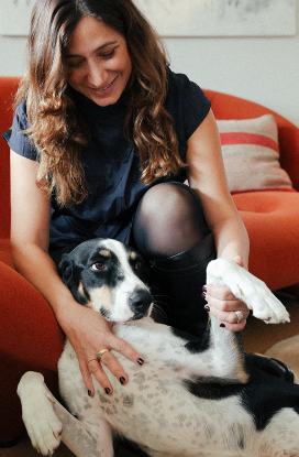 Franklin Alimentation premium pour chien et chat. Choisissez la meilleure nourriture pour votre animal : Croquettes sans céréales riches en protéines et faibles en glucides. Découvrez notre large gamme de pâtées et de friandises riches en viande !