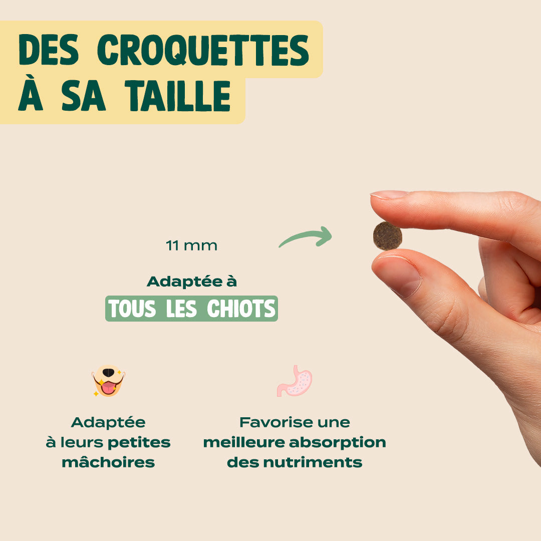 POULET, SAUMON, FENOUIL