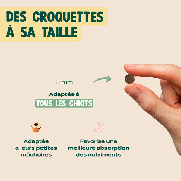 poulet-saumon-fenouil