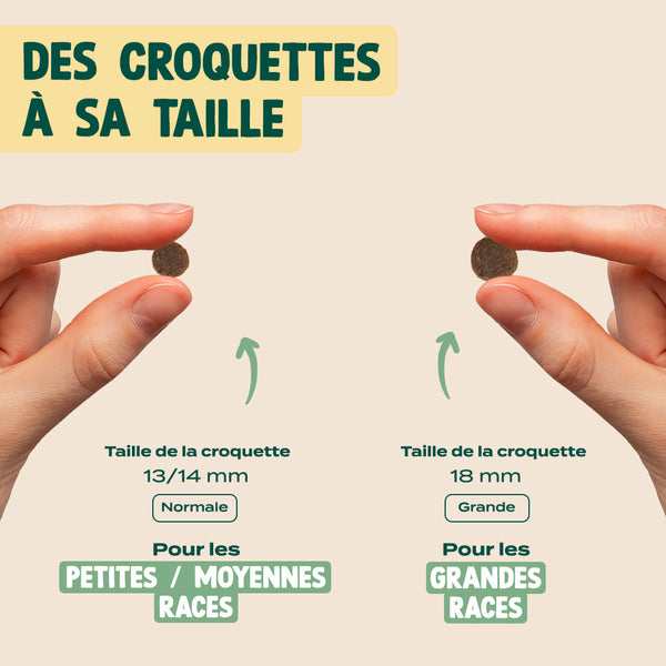 poulet-courge-myrtille