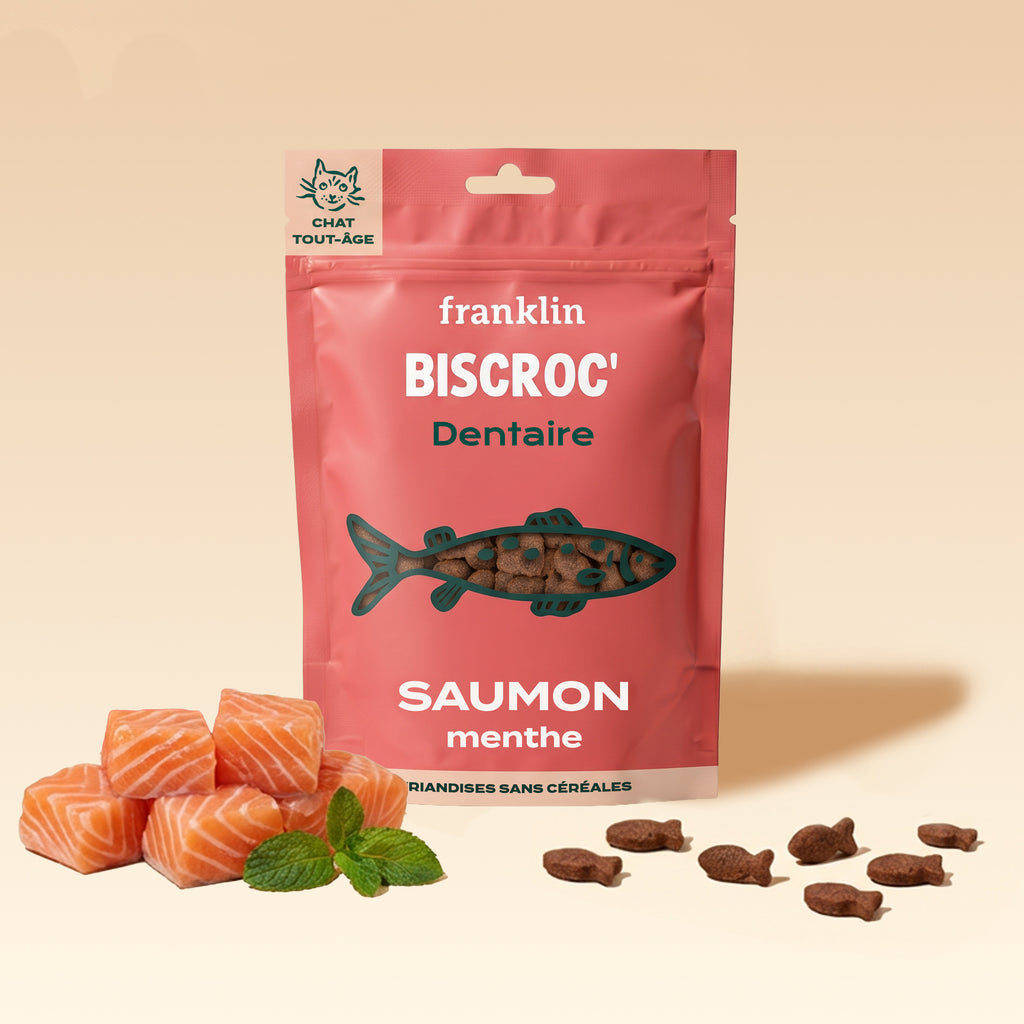 Friandises dentaires chat : saumon et menthe - Franklin