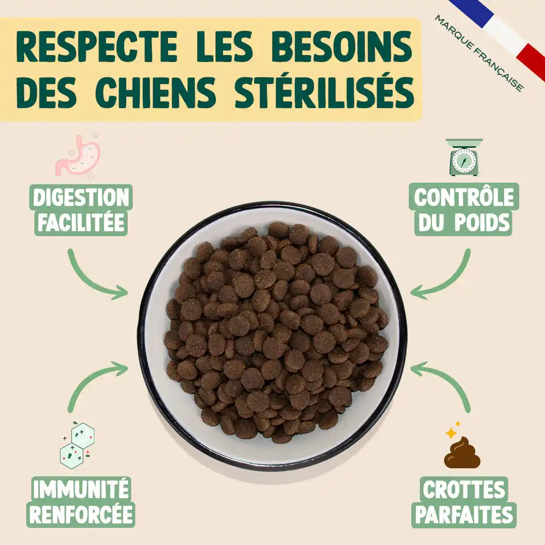 POULET, COURGE, MYRTILLE