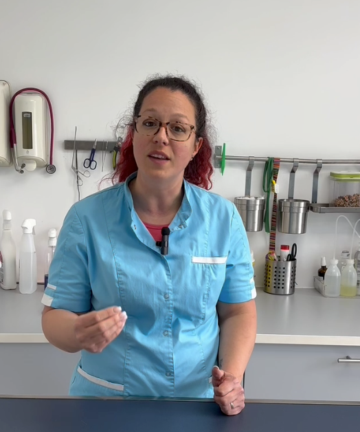 gummies-articulations