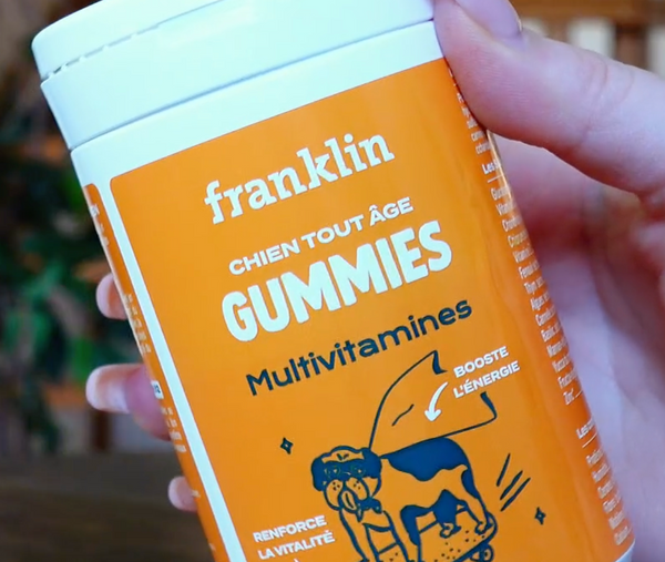 gummies-multivitamines