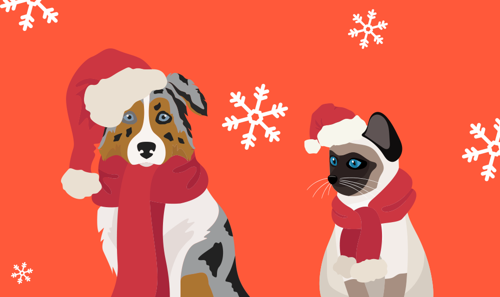 Les 5 dangers de Noël pour votre chien et votre chat