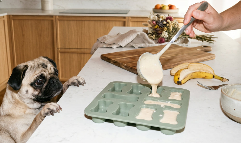 Recettes de friandises pour chien : 2 préparations faciles à tester chez vous