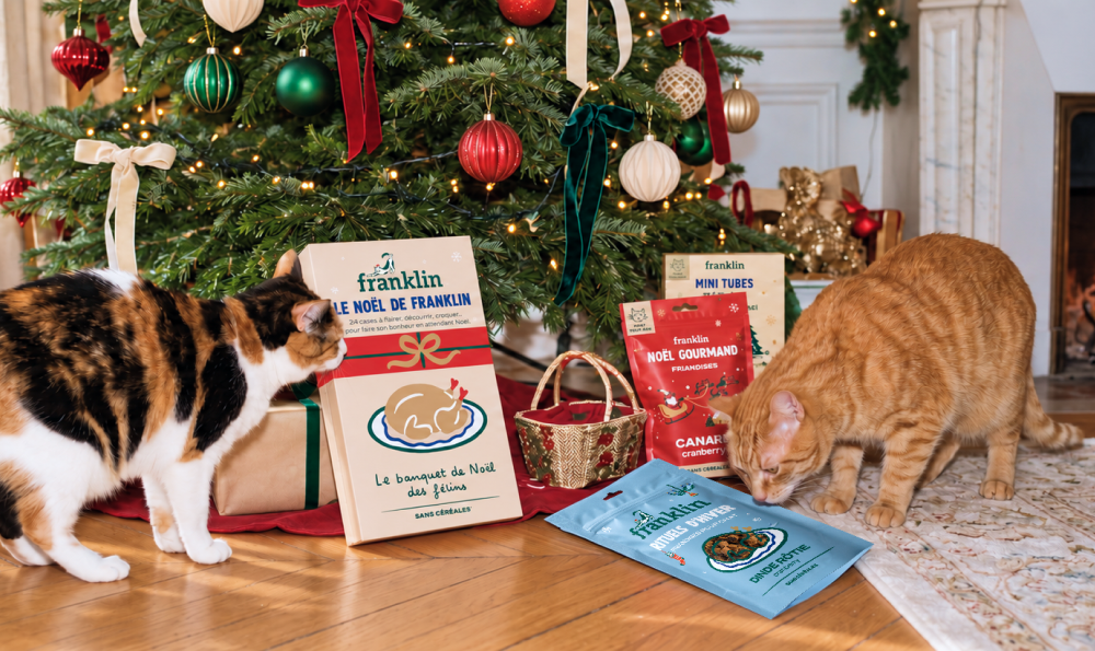 10 idées de cadeaux de Noël pour gâter votre chat en 2026