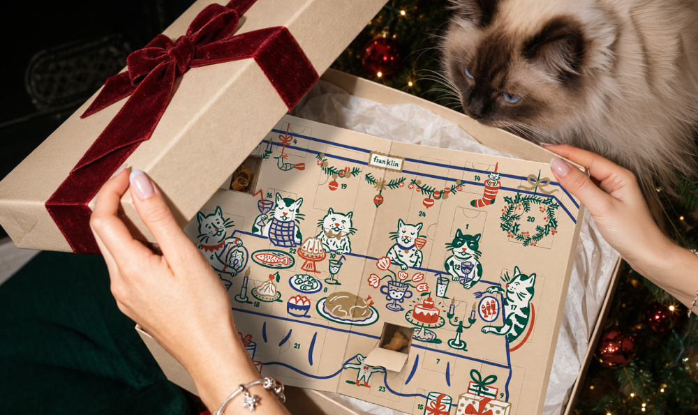 Les meilleurs calendriers de l’avent pour chat en 2026