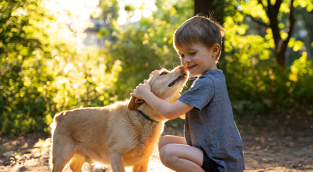 Le chien et l’enfant : tout savoir