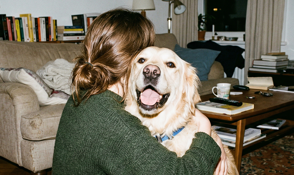 Les chiens d’assistance émotionnelle : un soutien pour la santé mentale