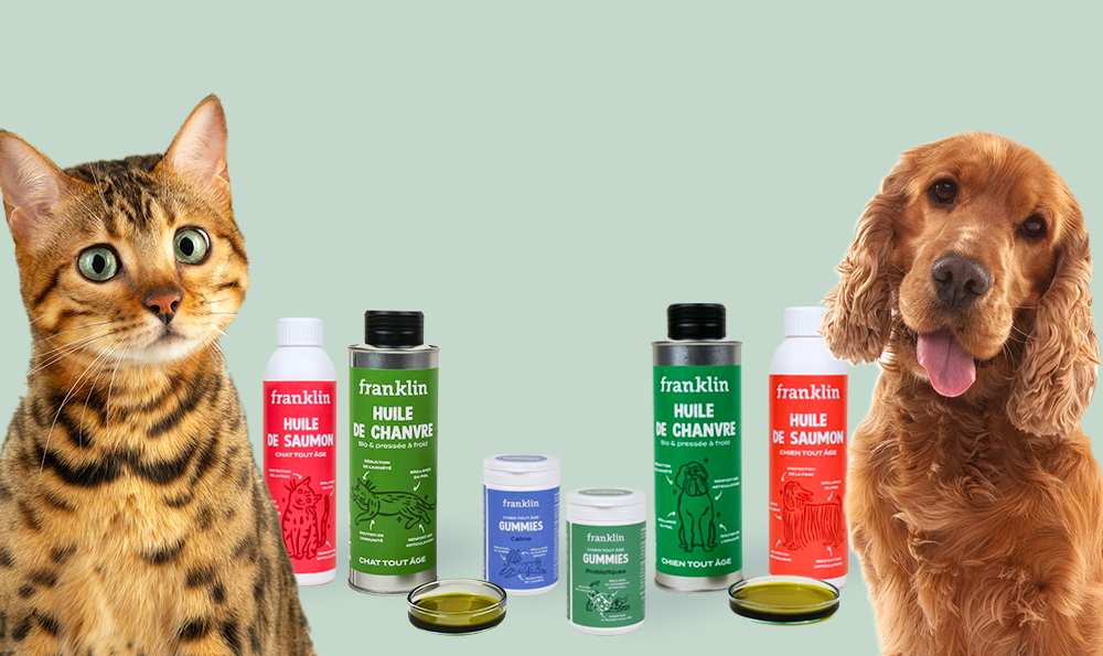 Tout savoir sur les compléments alimentaires naturels pour chien et chat