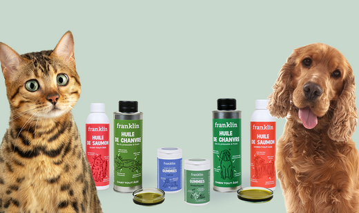 Tout savoir sur les compléments alimentaires naturels pour chien et chat