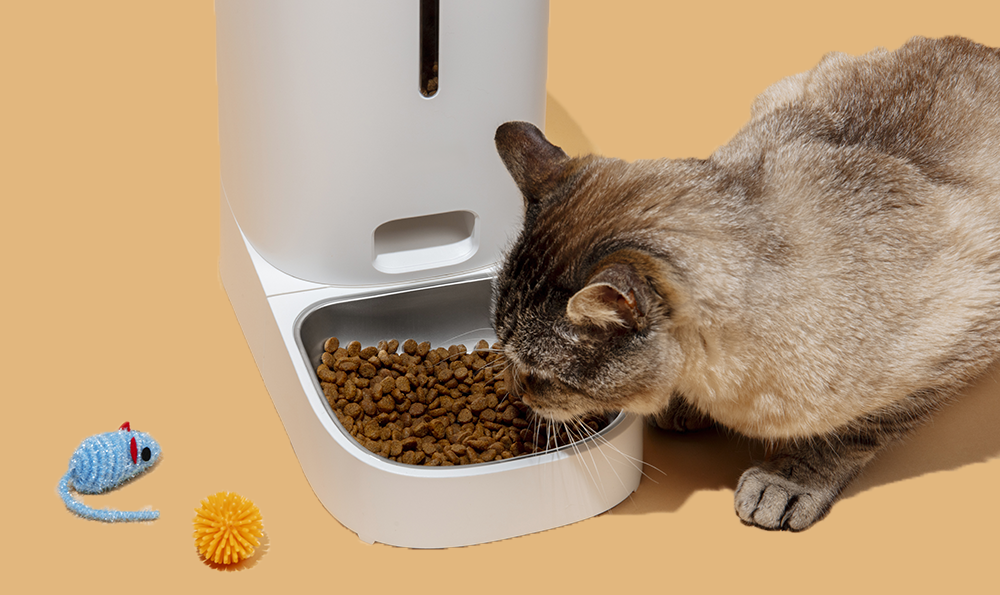 Distributeur de croquettes pour chat : quel modèle choisir ?