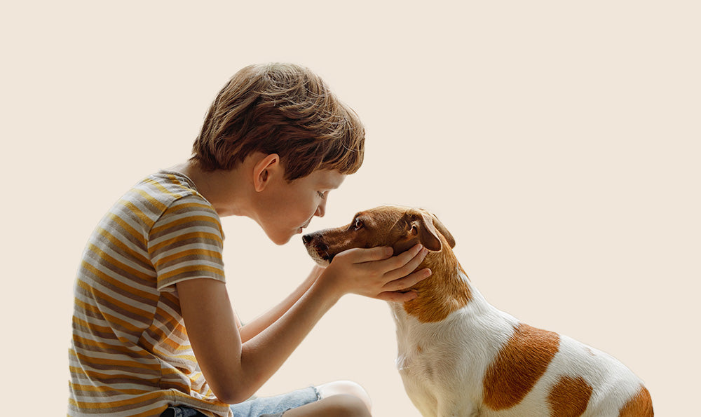 Le chien et l’enfant : tout savoir