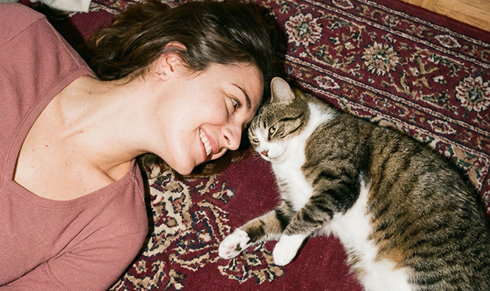 5 cadeaux de saint valentin que votre chat va adorer !