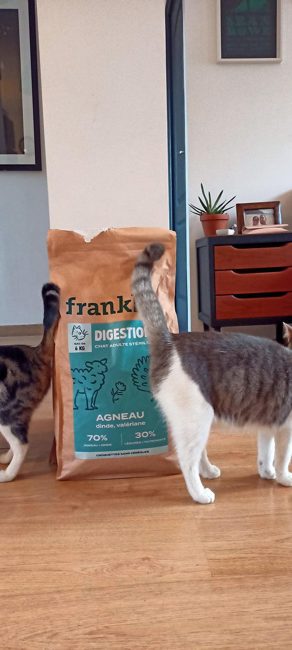 Clara avec Mosaïc & Chinook