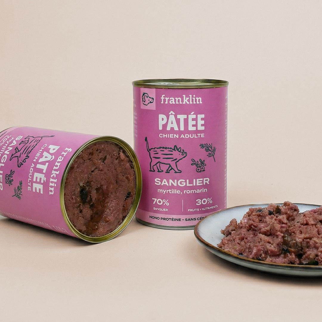 PACK DÉCOUVERTE PÂTÉES CHIEN