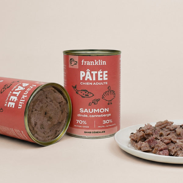 pack-decouverte-patees-chien