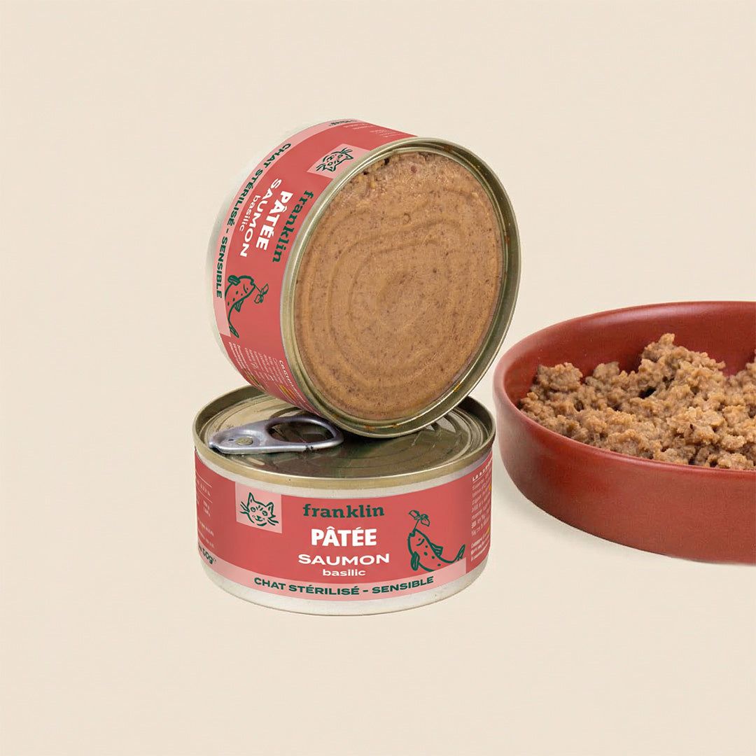 PACK DÉCOUVERTE PÂTÉES CHAT