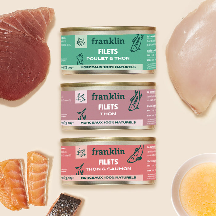 TRIO DÉCOUVERTE FILETS (CADEAU)